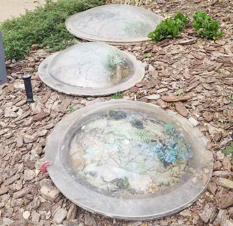 公園植物用有機玻璃制品保護防風罩